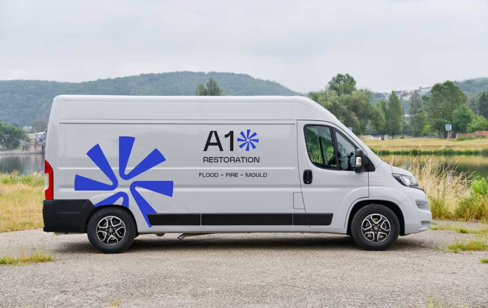 Pet Accidents, Spills, and Leaks: Keeping Your Home Safe and Healthy